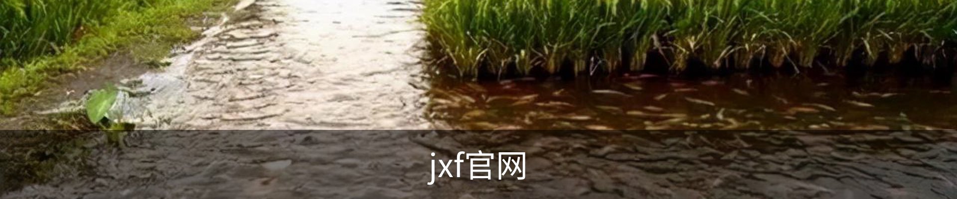 jxf官网